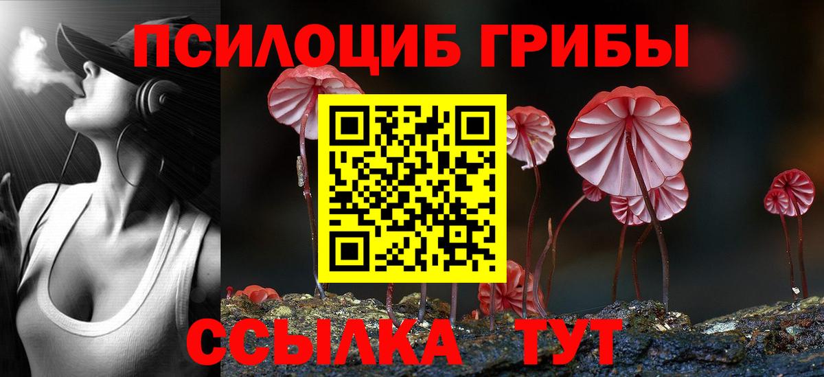 Псилоцибиновые грибы мицелий  Вход с VPN  Краснокаменск 